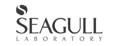 سی گل / Sea Gull